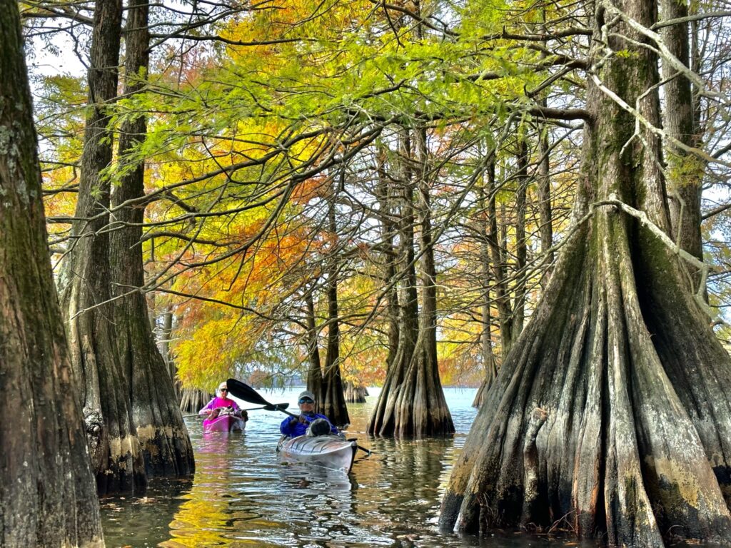 Kayaking Lake Marion