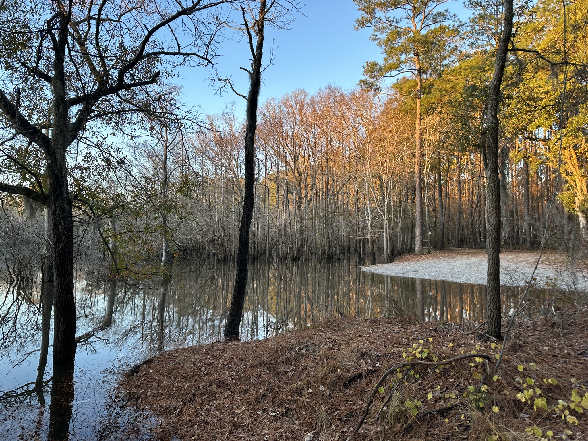 Part 7- Waccamaw River Through Paddle Series: Wednesday 12/21/2023